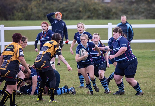 汉堡港的智 汉堡港的智