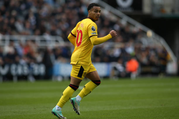 一点深有体 一点深有体