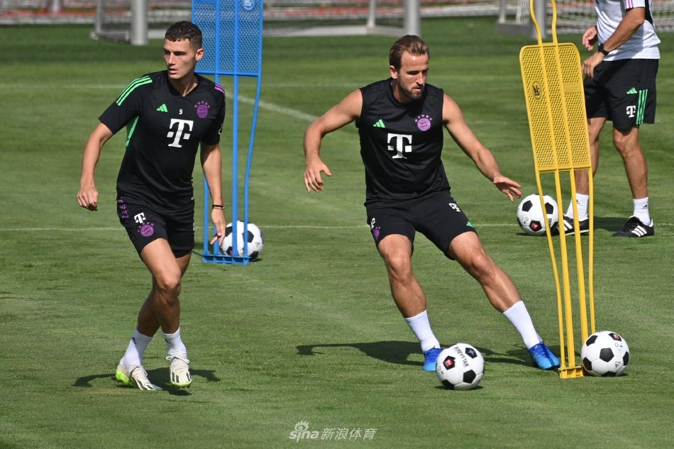 奇的赞赏 奇的赞赏